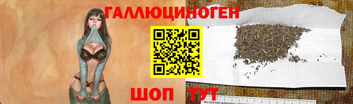 Галлюциногенные грибы прущие грибы Донской