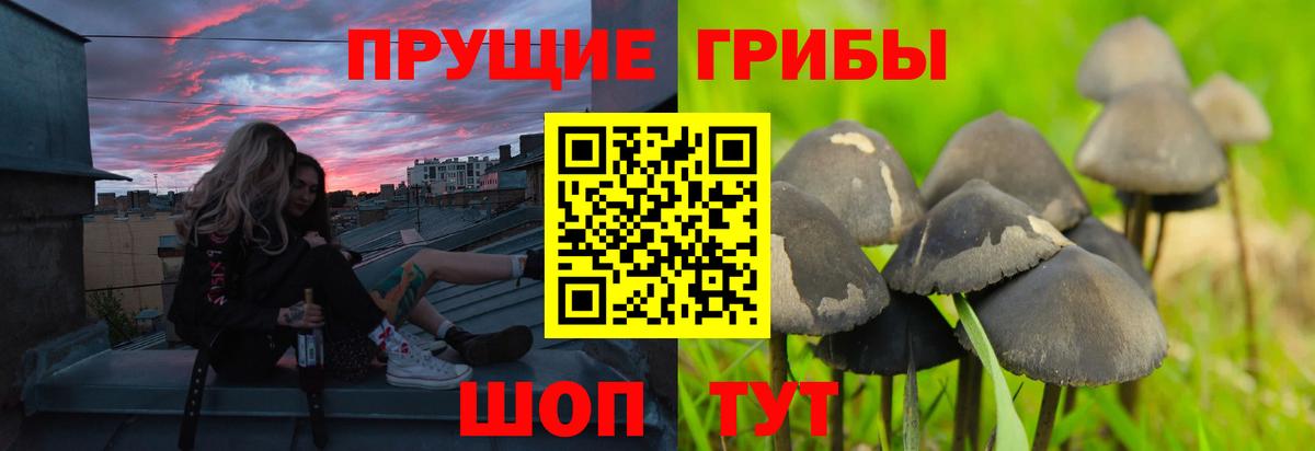 Псилоцибиновые грибы мицелий  Вход с VPN  Галлюциногенные грибы MAGIC MUSHROOMS  Донской 
